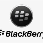 blackberry.jpg
