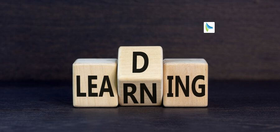 Mentorship Matters in Shaping Future Leaders